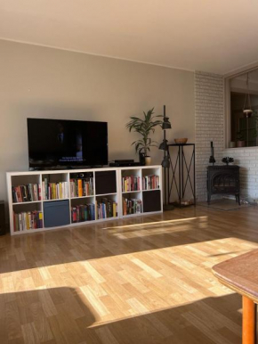 2 bed apartment ski-VM 2025